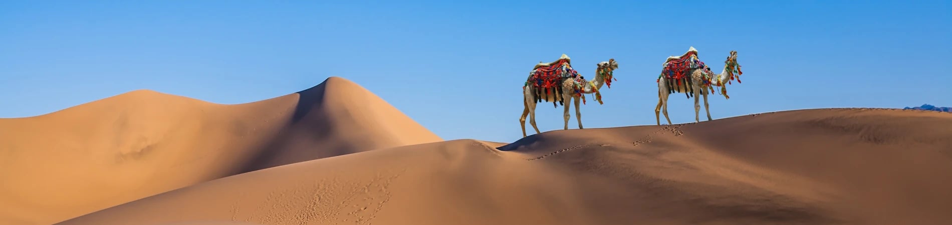 morocco localrent.com